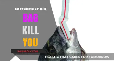 Plastic Bag Choking: A Deadly Risk?