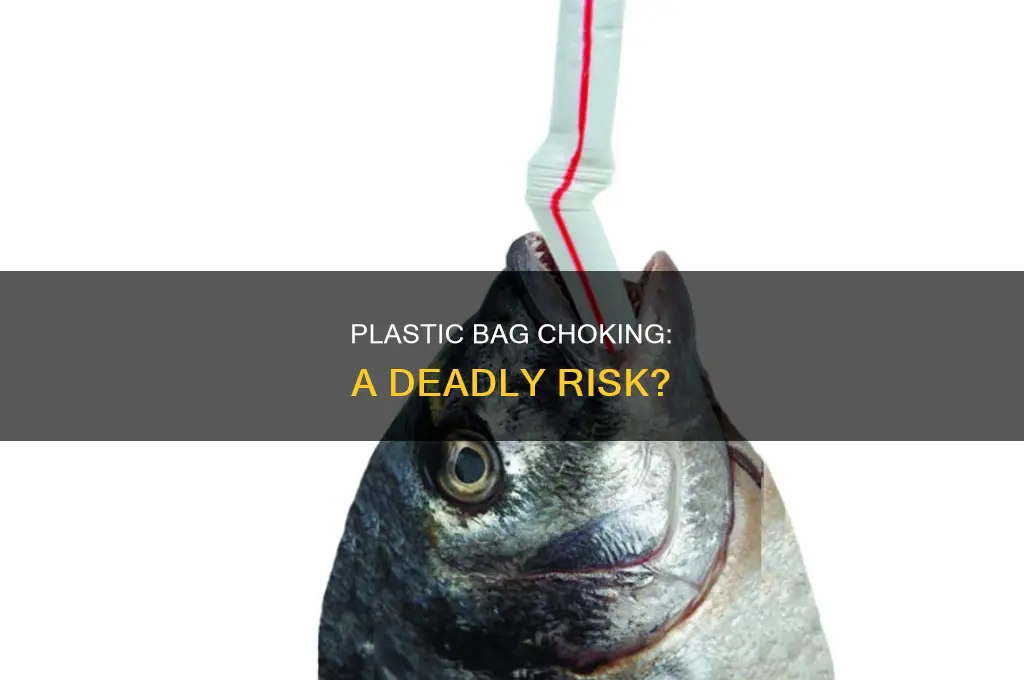 can swallowing a plastic bag kill you