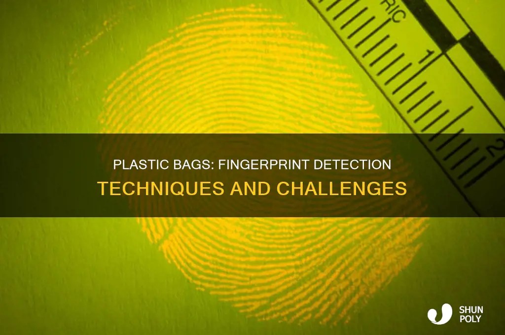 can the fingerprints be detected on plastic bags