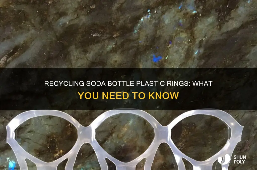 can the plastic rings on soda bottles be recylcled