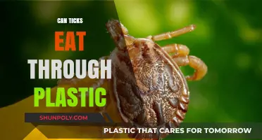 Can Ticks Eat Through Plastic? Unraveling the Myths and Facts
