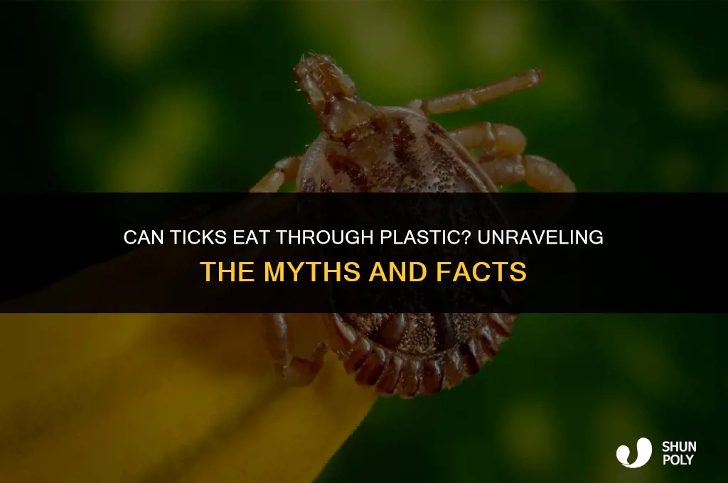can ticks eat through plastic