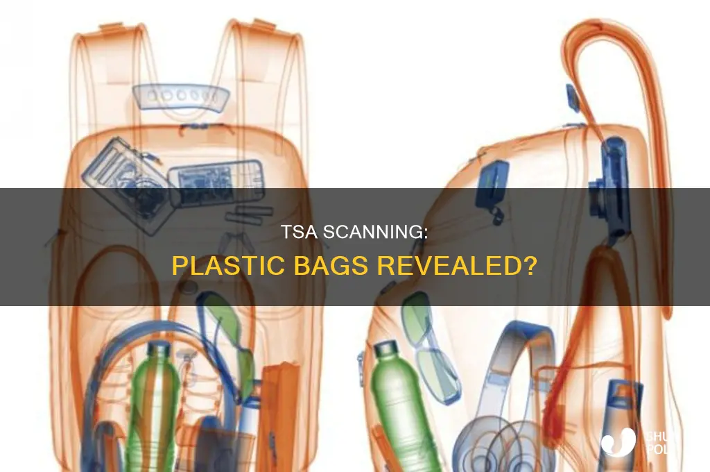 can tsa see plastic bags