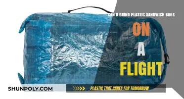 Sandwich Bags: What's Allowed on Flights?