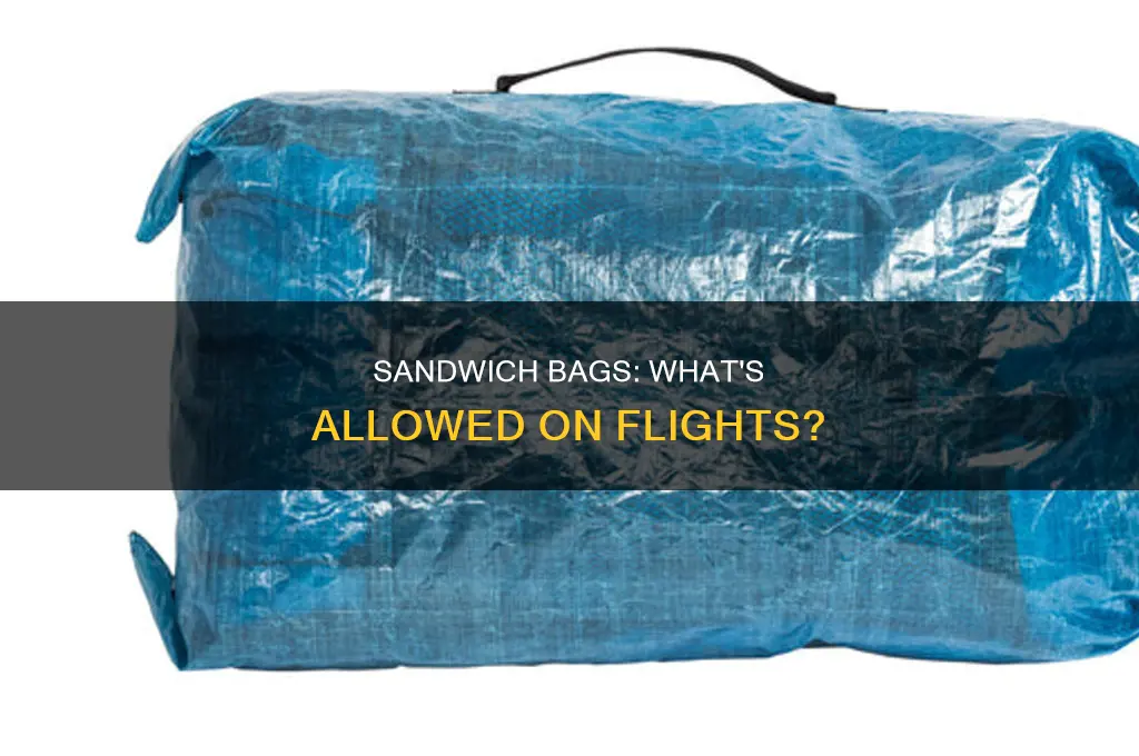 can u bring plastic sandwich bags on a flight
