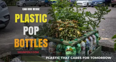 Reusing Plastic Pop Bottles: Creative Ways to Reduce Waste
