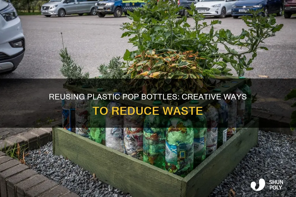 can uou reuse plastic pop bottles