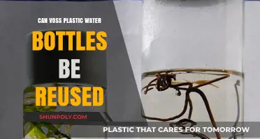 Reusing Voss Plastic Water Bottles: Safe Practices and Sustainability Tips