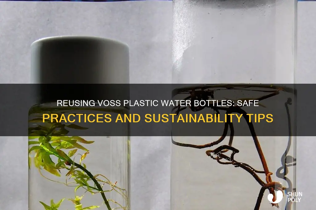 can voss plastic water bottles be reused