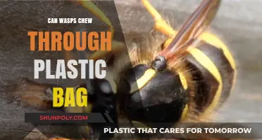 Wasps Chewing Through Plastic Bags: Is It Possible?