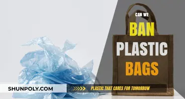 Plastic Bags: Ban or Better Alternatives?