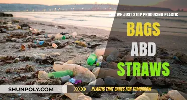 Ban Plastic Bags and Straws: A Necessary Step