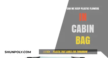 Plastic Flowers: Cabin Bag-Friendly?