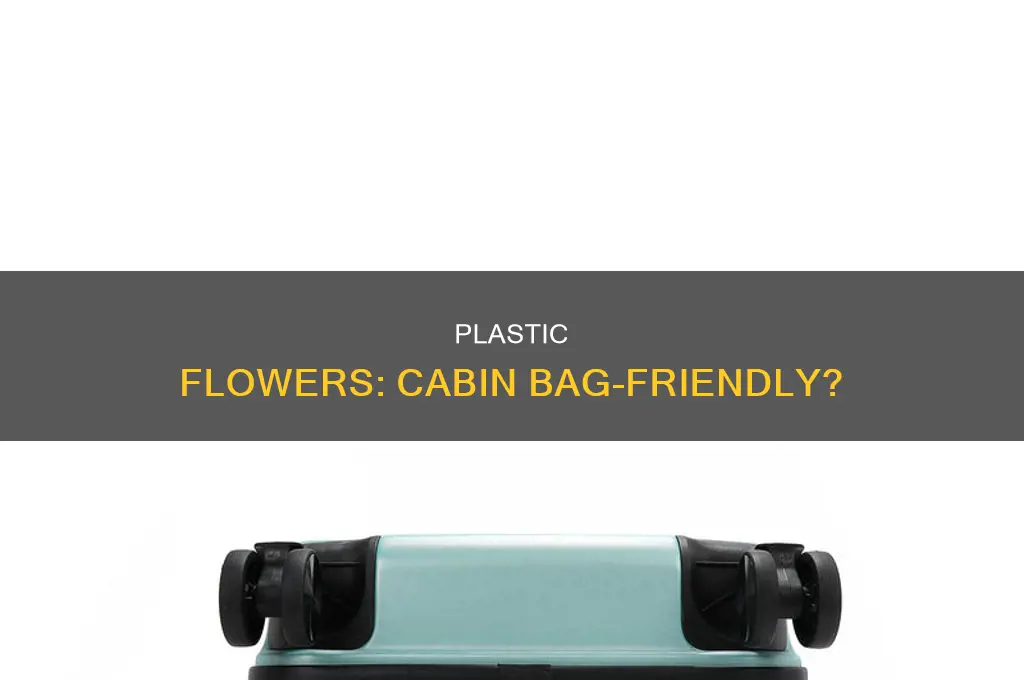 can we keep plastic flowers in cabin bag