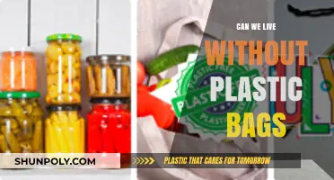 Plastic Bags: Living Without Them, Is It Possible?