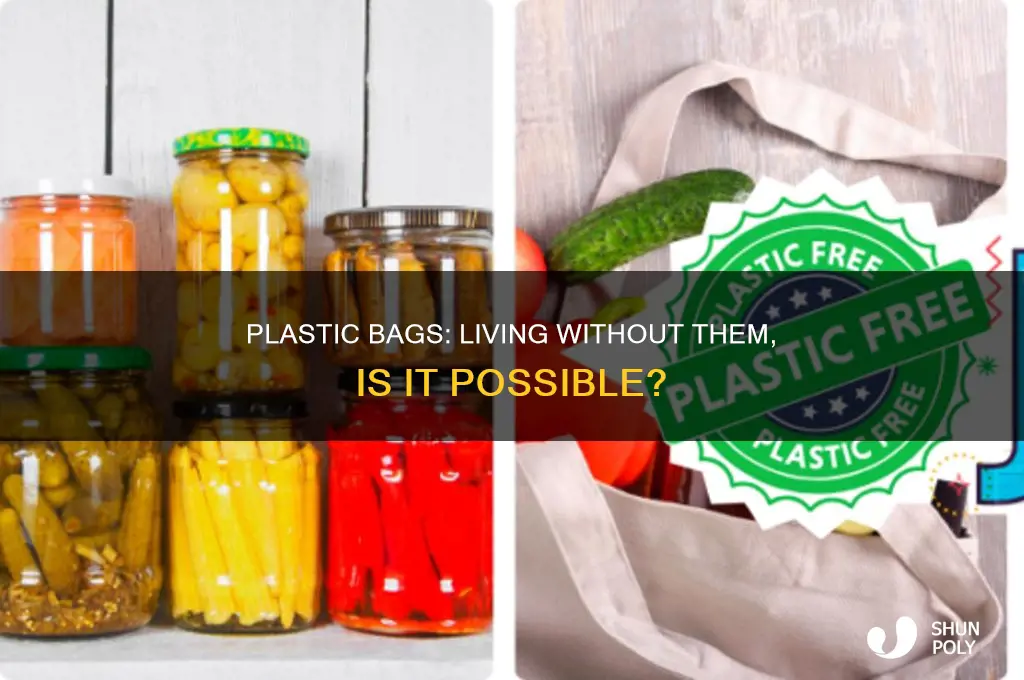 can we live without plastic bags