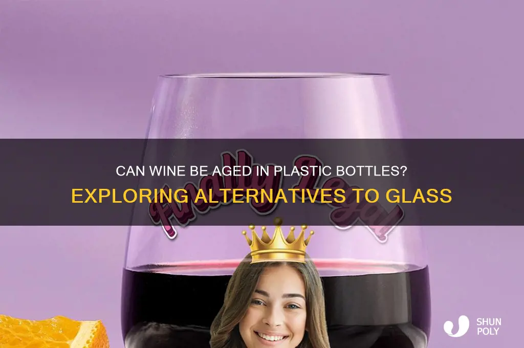 can we make wine in plastic bottle