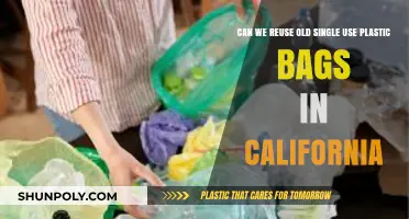 Reusing Single-Use Plastic Bags in California: Legal, Practical, or Both?