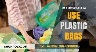 Revisiting Single-Use Plastic Bags: Reuse or Refuse?