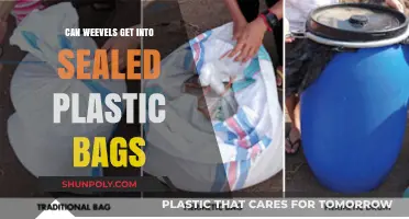 Weevils: How Safe Are Sealed Plastic Bags?