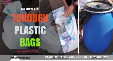 Weevil-Proofing: Can Plastic Bags Stop Weevils?