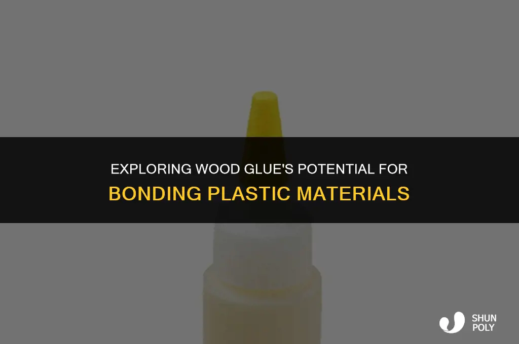 can wood glue work on plastic