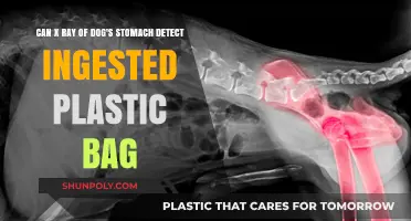 X-ray Detection: Plastic Bags in Dog's Stomach