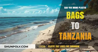 Plastic Bags: Tanzania's Strict Ban and What to Bring Instead