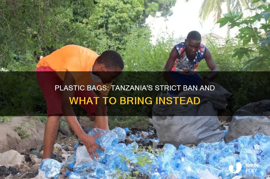 can you bring plastic bags to tanzania