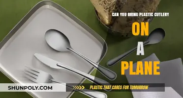 Sky-Friendly Dining: The Lowdown on Plastic Cutlery on Planes