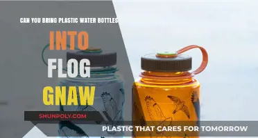 Plastic Water Bottles at Flog Gnaw: Allowed or Banned?