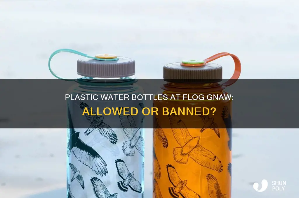 can you bring plastic water bottles into flog gnaw