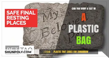 Plastic Bag Pet Burial: Safe or Not?