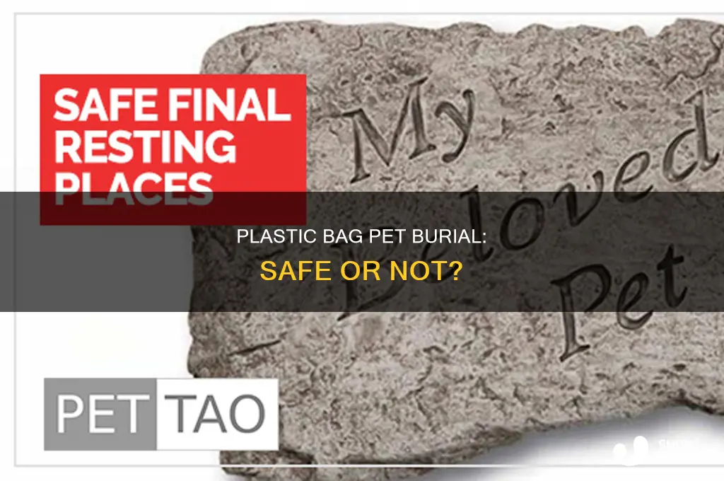 can you bury a cat in a plastic bag