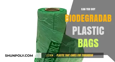 Biodegradable Plastic Bags: Are They Worth the Hype?