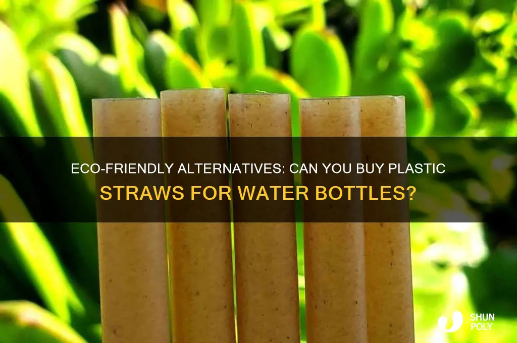 can you buy plastic straws for a water bottle
