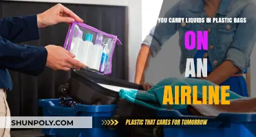 Airline Liquid Rules: Plastic Bags and More
