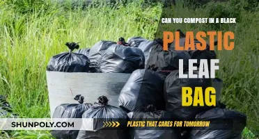 Black Plastic Leaf Bags: Composting Do's and Don'ts