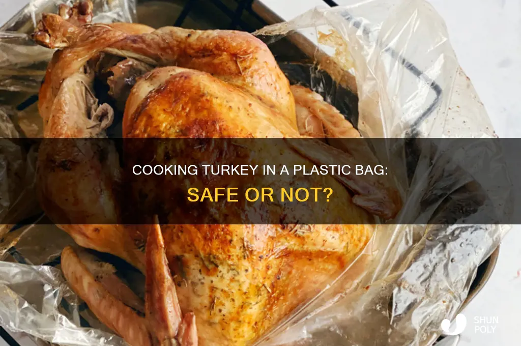 can you cook a turkey in a plastic bag