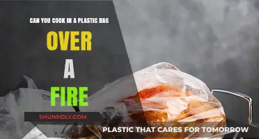 Campfire Cooking: Plastic Bags Safe?