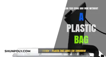 Sou Vide Cooking: Beyond Plastic Bags