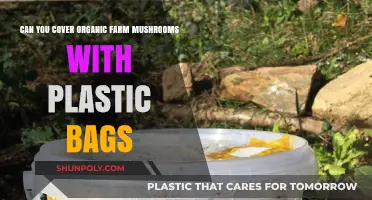 Organic Mushroom Farming: Plastic Bag Use