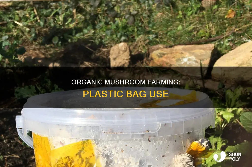 can you cover organic farm mushrooms with plastic bags