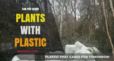 Protecting Your Greenery: The Do's and Don'ts of Covering Plants with Plastic