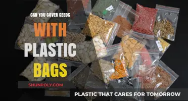 Covering Seeds: Plastic Bag Benefits and Drawbacks