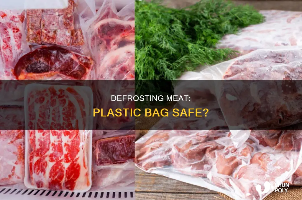 can you defrost meat in a plastic bag