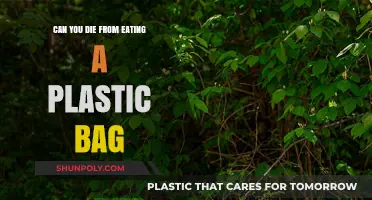 Plastic Bag Consumption: Deadly or Not?