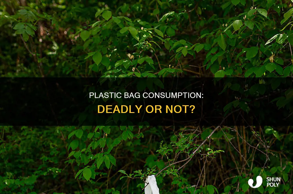 can you die from eating a plastic bag