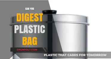 Plastic Bag Consumption: Digesting the Danger