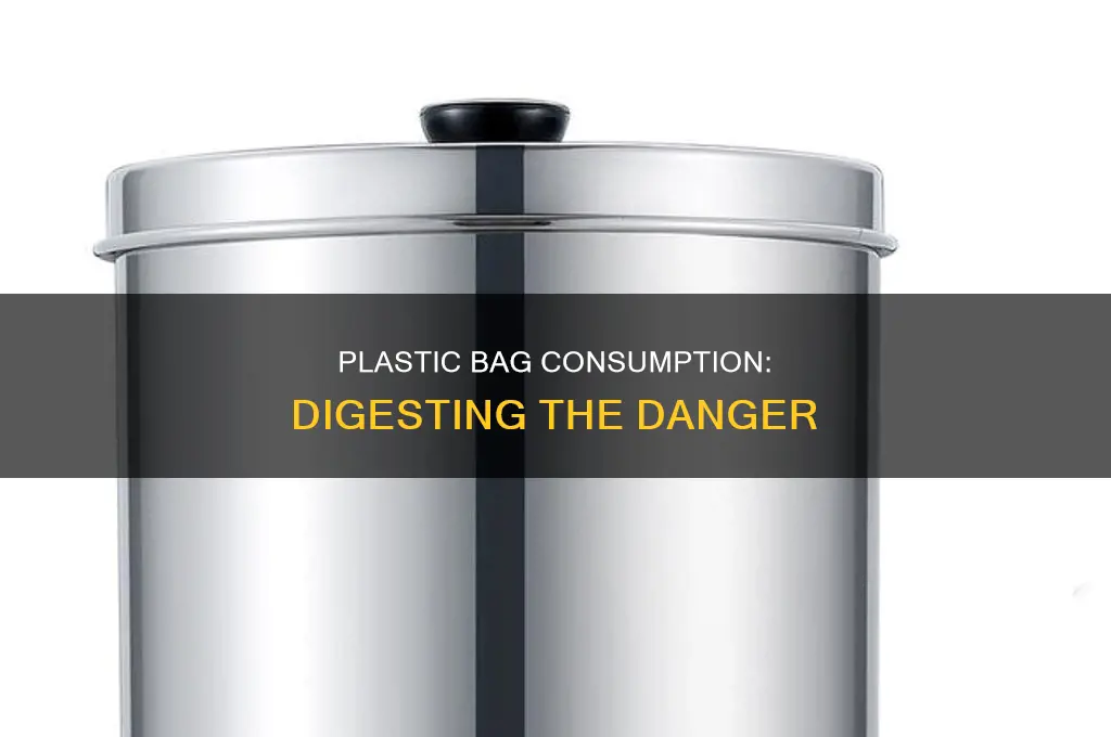 can you digest plastic bag